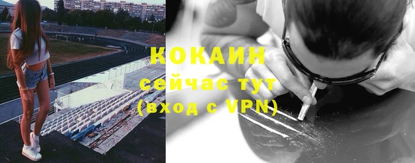 ешки Алексин