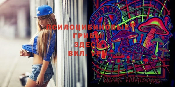 a pvp Арсеньев