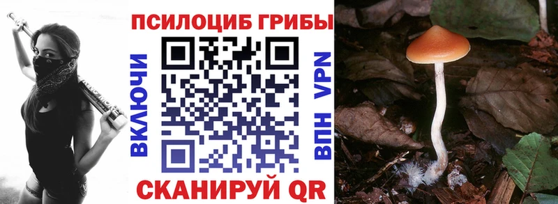 Галлюциногенные грибы мухоморы  МЕГА ссылка  Городец 